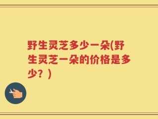 野生灵芝多少一朵(野生灵芝一朵的价格是多少？)