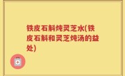 铁皮石斛炖灵芝水(铁皮石斛和灵芝炖汤的益处)