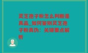 灵芝孢子粉怎么判断是真品_如何鉴别灵芝孢子粉真伪：关键要点解析