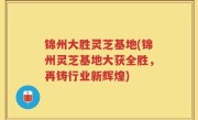 锦州大胜灵芝基地(锦州灵芝基地大获全胜，再铸行业新辉煌)