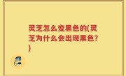灵芝怎么变黑色的(灵芝为什么会出现黑色？)