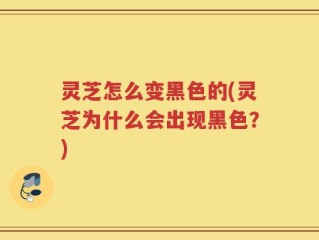 灵芝怎么变黑色的(灵芝为什么会出现黑色？)