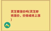 灵芝要涨价吗(灵芝即将涨价，价格或将上涨)