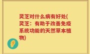 灵芝对什么病有好处(灵芝：有助于改善免疫系统功能的天然草本植物)
