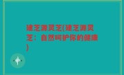 建芝源灵芝(建芝源灵芝：自然呵护你的健康)