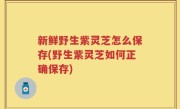 新鲜野生紫灵芝怎么保存(野生紫灵芝如何正确保存)