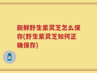 新鲜野生紫灵芝怎么保存(野生紫灵芝如何正确保存)