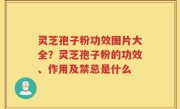 灵芝孢子粉功效图片大全？灵芝孢子粉的功效、作用及禁忌是什么