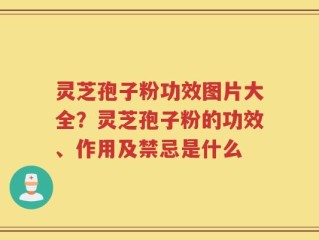 灵芝孢子粉功效图片大全？灵芝孢子粉的功效、作用及禁忌是什么
