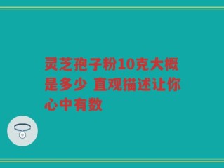 灵芝孢子粉10克大概是多少 直观描述让你心中有数
