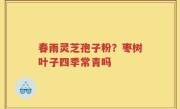 春雨灵芝孢子粉？枣树叶子四季常青吗