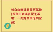 长白山岩溪谷灵芝基地(长白山岩溪谷灵芝基地：一处野生灵芝的宝藏)
