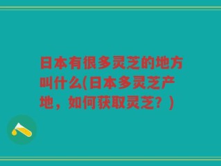 日本有很多灵芝的地方叫什么(日本多灵芝产地，如何获取灵芝？)