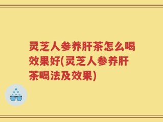 灵芝人参养肝茶怎么喝效果好(灵芝人参养肝茶喝法及效果)