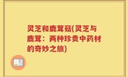 灵芝和鹿茸菇(灵芝与鹿茸：两种珍贵中药材的奇妙之旅)