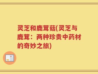 灵芝和鹿茸菇(灵芝与鹿茸：两种珍贵中药材的奇妙之旅)