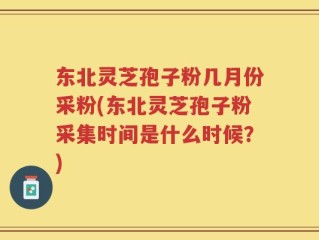 东北灵芝孢子粉几月份采粉(东北灵芝孢子粉采集时间是什么时候？)