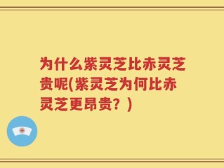 为什么紫灵芝比赤灵芝贵呢(紫灵芝为何比赤灵芝更昂贵？)