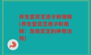 养生堂灵芝孢子粉视频(养生堂灵芝孢子粉视频：发现灵芝的神奇功效)