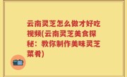 云南灵芝怎么做才好吃视频(云南灵芝美食探秘：教你制作美味灵芝菜肴)