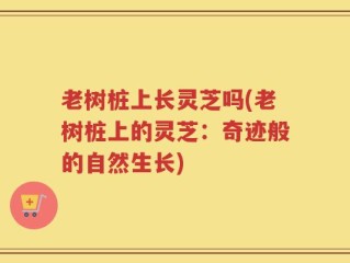 老树桩上长灵芝吗(老树桩上的灵芝：奇迹般的自然生长)