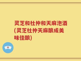 灵芝和杜仲和天麻泡酒(灵芝杜仲天麻酿成美味佳酿)