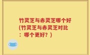 竹灵芝与赤灵芝哪个好(竹灵芝与赤灵芝对比：哪个更好？)