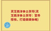 灵芝西洋参土茯苓(灵芝西洋参土茯苓：营养搭档，打造健康体魄)