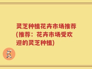 灵芝种植花卉市场推荐(推荐：花卉市场受欢迎的灵芝种植)