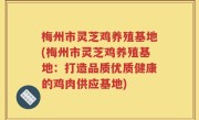 梅州市灵芝鸡养殖基地(梅州市灵芝鸡养殖基地：打造品质优质健康的鸡肉供应基地)
