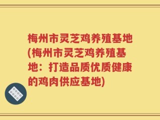梅州市灵芝鸡养殖基地(梅州市灵芝鸡养殖基地：打造品质优质健康的鸡肉供应基地)