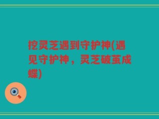 挖灵芝遇到守护神(遇见守护神，灵芝破茧成蝶)