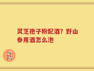 灵芝孢子粉配酒？野山参用酒怎么泡