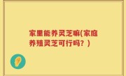 家里能养灵芝嘛(家庭养殖灵芝可行吗？)