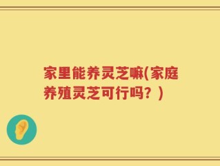 家里能养灵芝嘛(家庭养殖灵芝可行吗？)