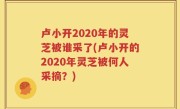 卢小开2020年的灵芝被谁采了(卢小开的2020年灵芝被何人采摘？)