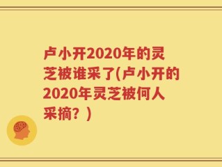 卢小开2020年的灵芝被谁采了(卢小开的2020年灵芝被何人采摘？)