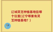 辽城灵芝种植基地在哪个位置(辽宁哪里有灵芝种植基地？)