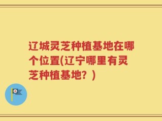 辽城灵芝种植基地在哪个位置(辽宁哪里有灵芝种植基地？)