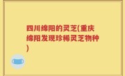 四川绵阳的灵芝(重庆绵阳发现珍稀灵芝物种)