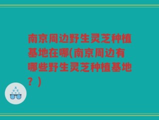 南京周边野生灵芝种植基地在哪(南京周边有哪些野生灵芝种植基地？)
