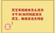 灵芝采摘回来怎么清洗才干净(如何彻底清洗灵芝，确保清洁无残留)