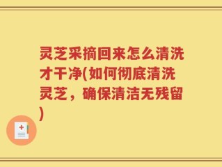 灵芝采摘回来怎么清洗才干净(如何彻底清洗灵芝，确保清洁无残留)