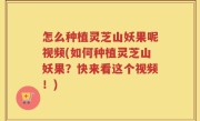 怎么种植灵芝山妖果呢视频(如何种植灵芝山妖果？快来看这个视频！)