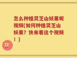 怎么种植灵芝山妖果呢视频(如何种植灵芝山妖果？快来看这个视频！)