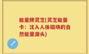 能量牌灵芝(灵芝能量卡：注入人体磁场的自然能量源头)