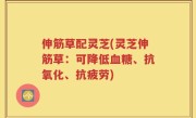 伸筋草配灵芝(灵芝伸筋草：可降低血糖、抗氧化、抗疲劳)