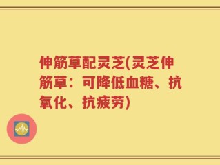 伸筋草配灵芝(灵芝伸筋草：可降低血糖、抗氧化、抗疲劳)