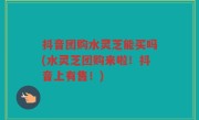 抖音团购水灵芝能买吗(水灵芝团购来啦！抖音上有售！)