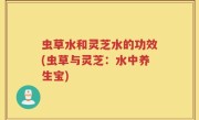 虫草水和灵芝水的功效(虫草与灵芝：水中养生宝)
